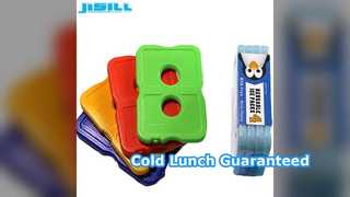 অতি পাতলা আইস প্যাক খাবার ঠান্ডা রাখে