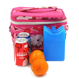 লাঞ্চ বক্সে খাবার ও পানীয় শীতল করার জন্য মিনি আইস প্যাকগুলি পিকনিক এবং আরও বহুমুখী বহনযোগ্য এবং ক্যাম্পিংয়ের জন্য পুনরায় ব্যবহারযোগ্য